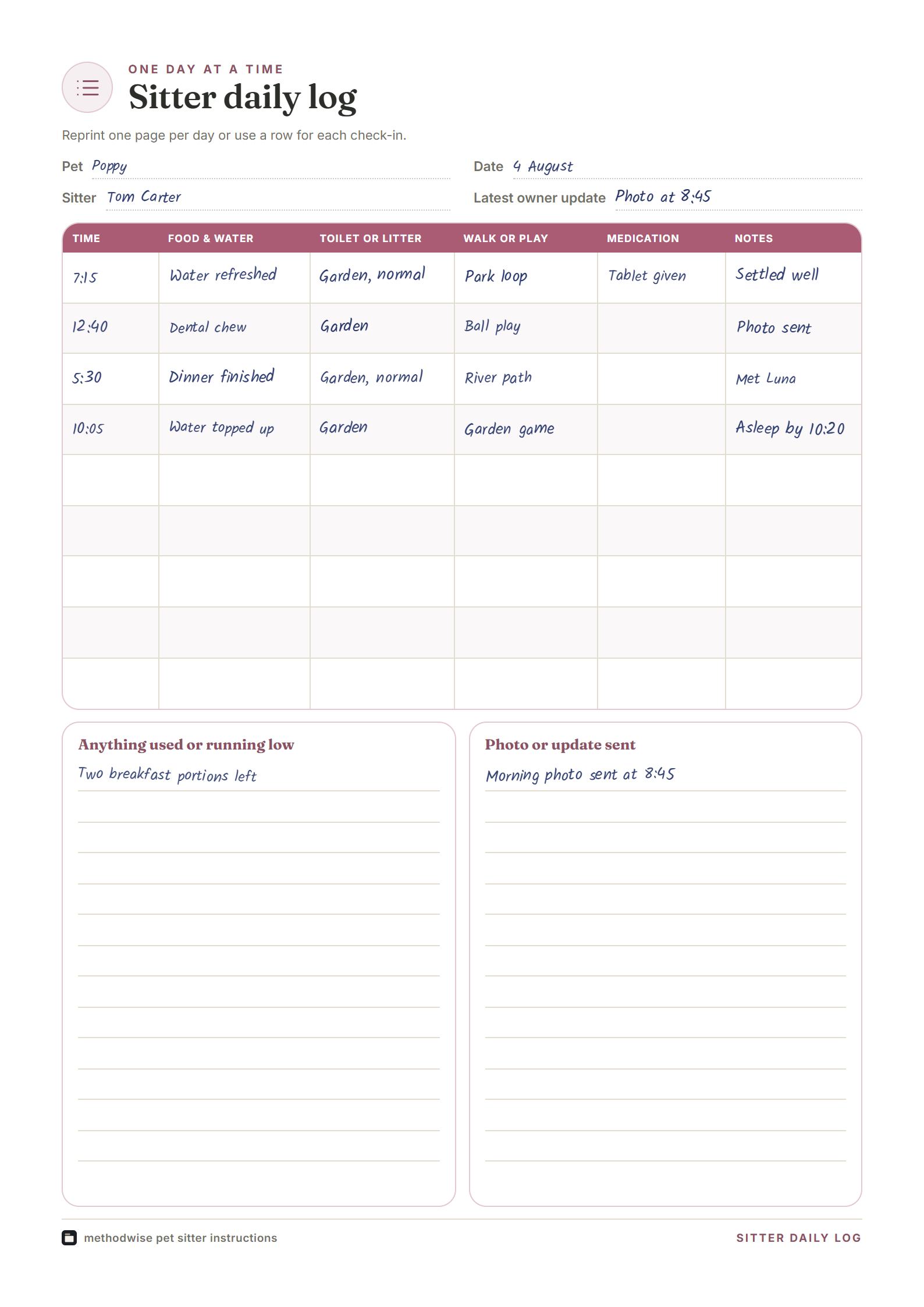 Sitter daily log with example entries